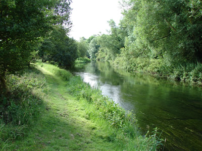 River Avon July